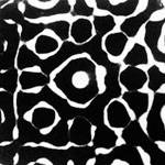 Coalesce : Salt and Passage